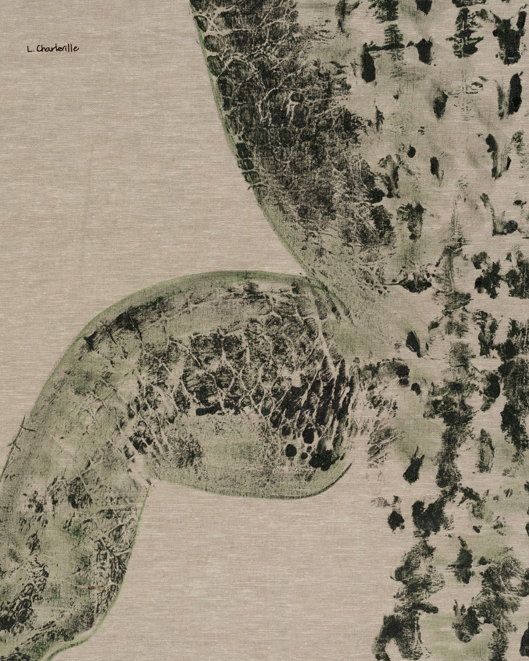 Avoyelles