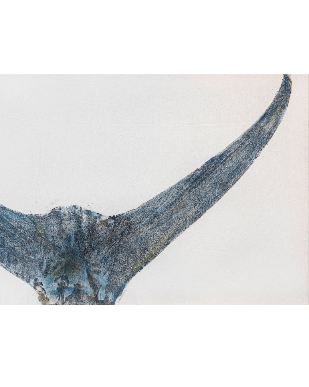 Blue Marlin Tail