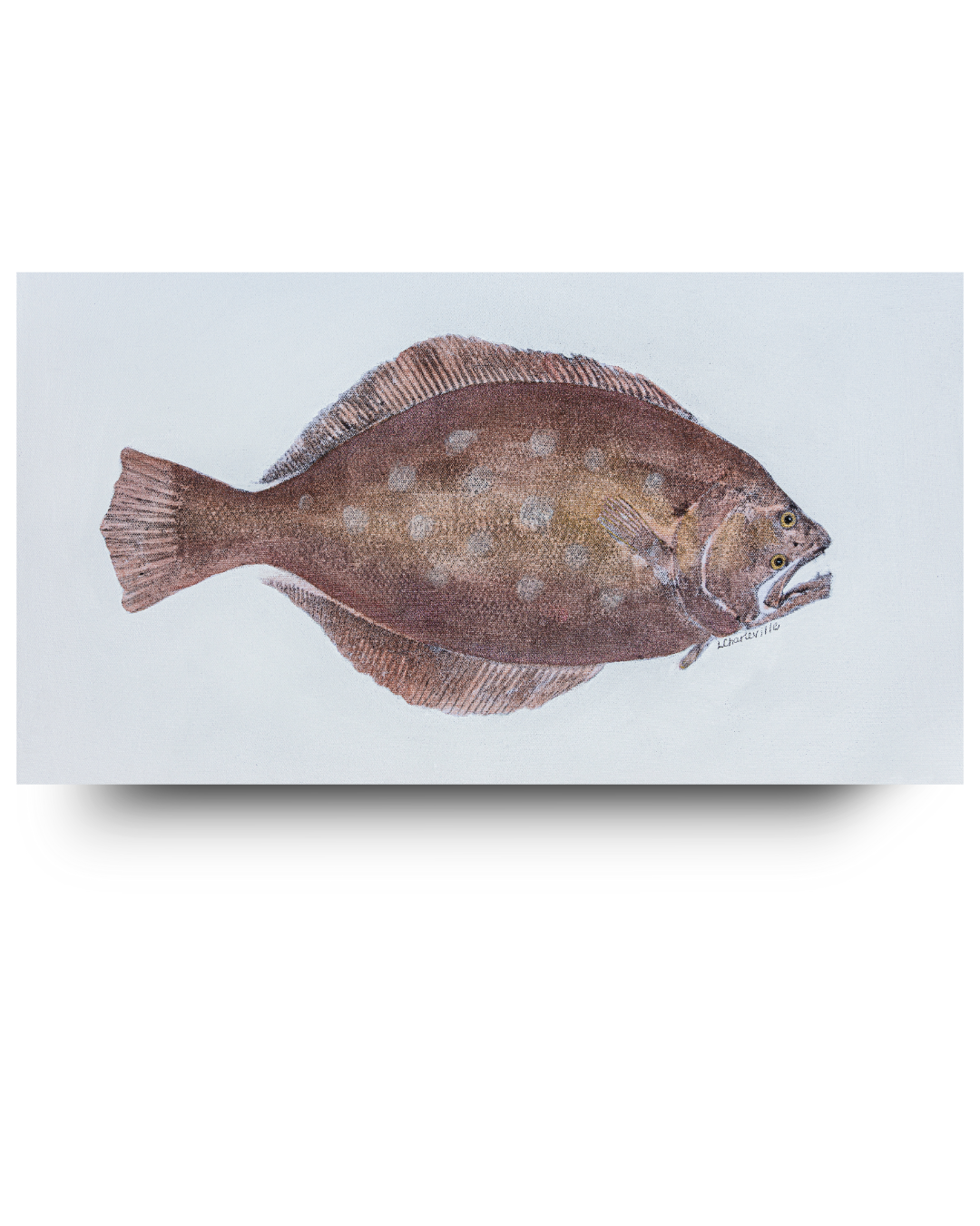Flounder