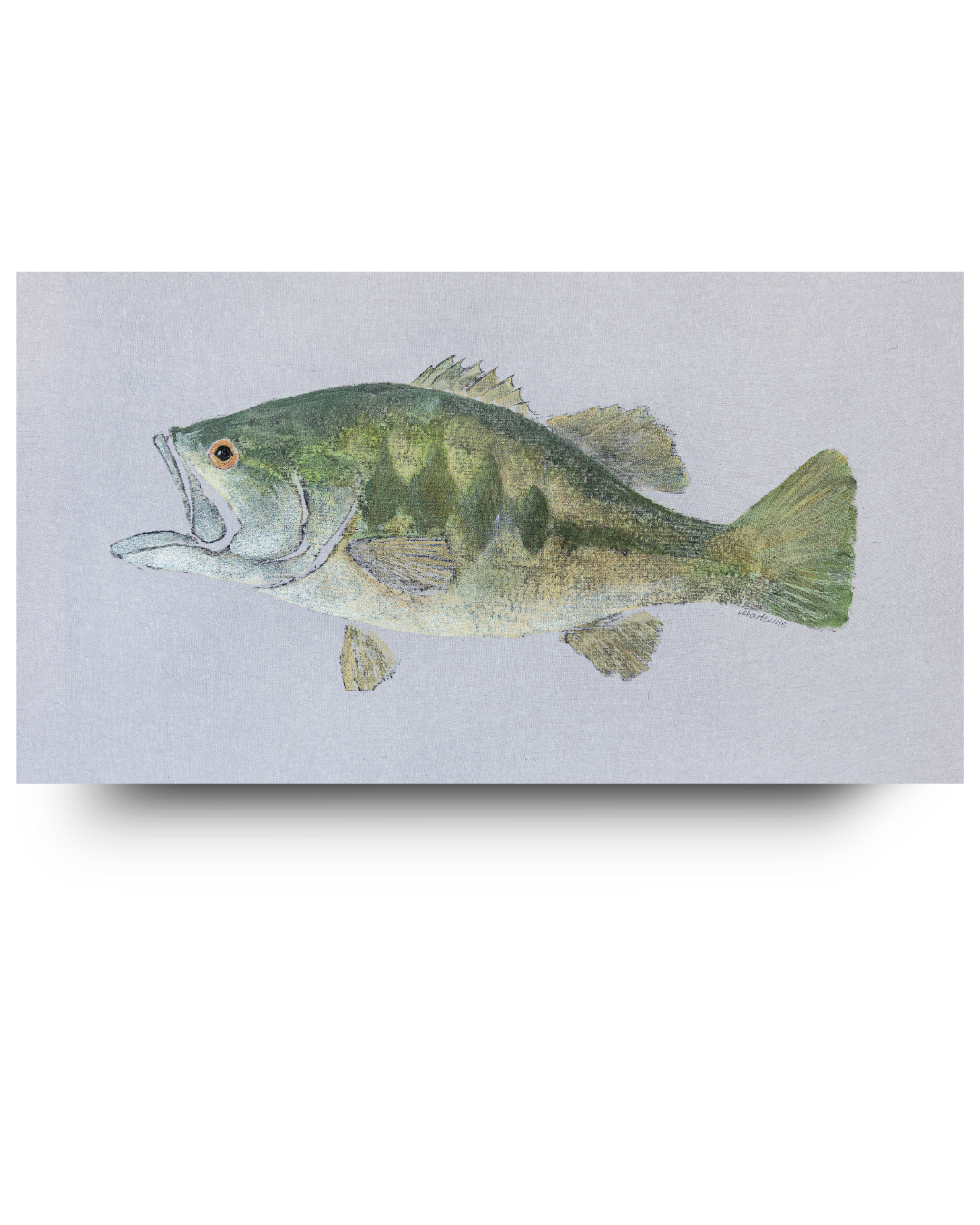 Large Mouth Bass
