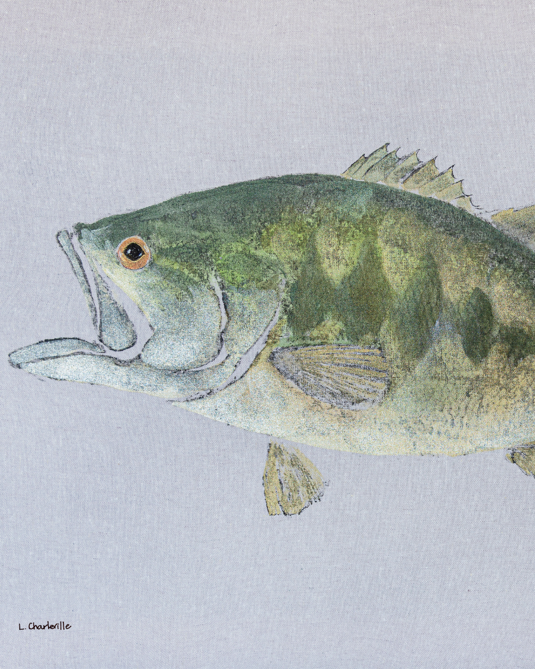Large Mouth Bass