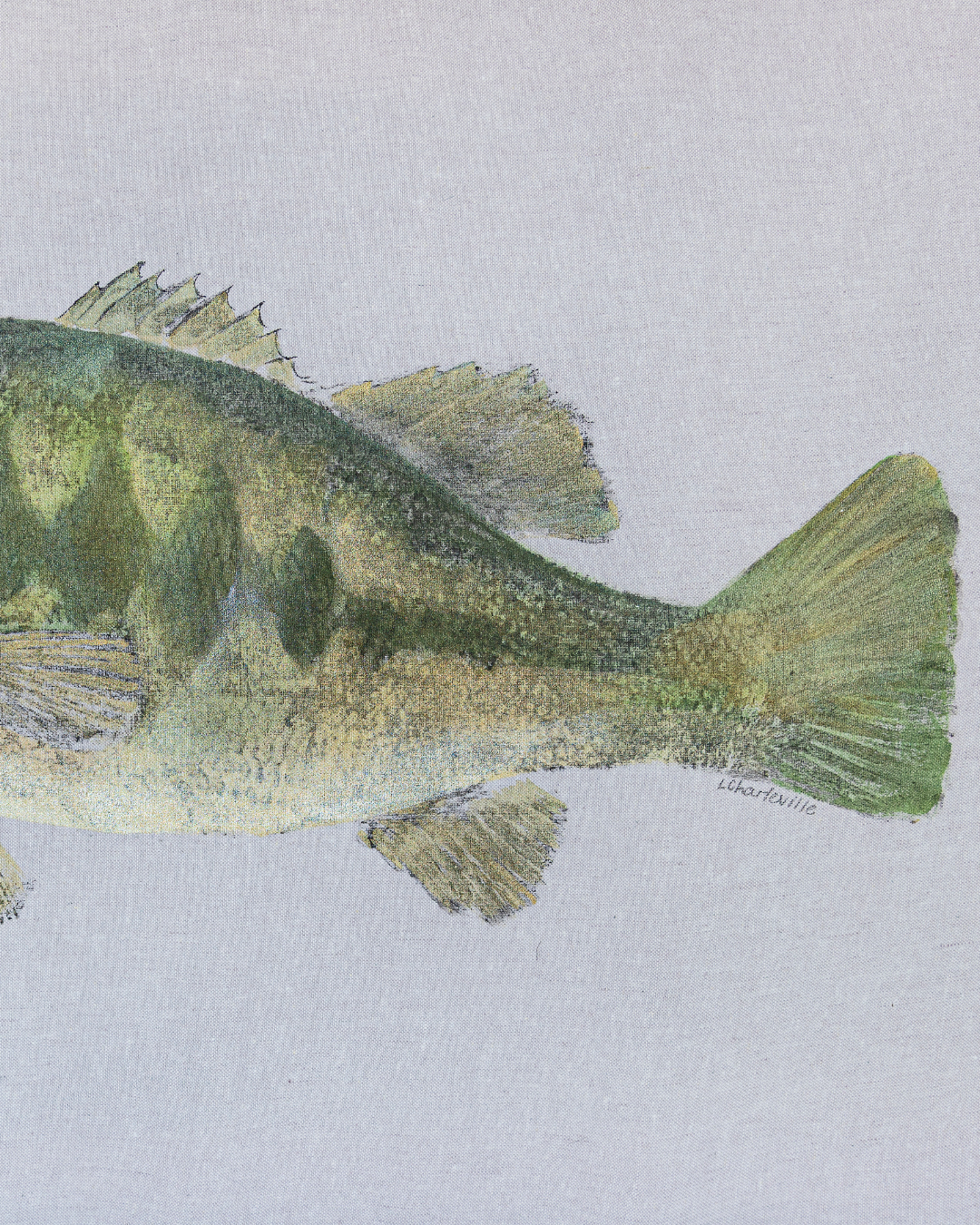 Large Mouth Bass