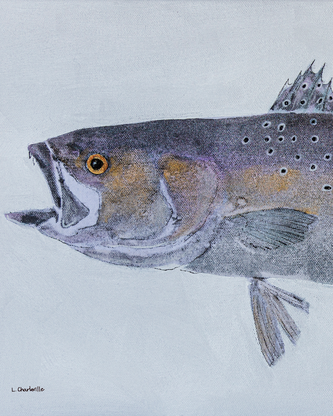 Speckled Trout