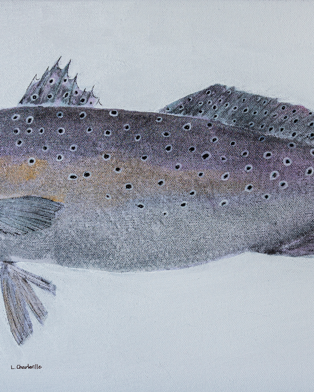Speckled Trout