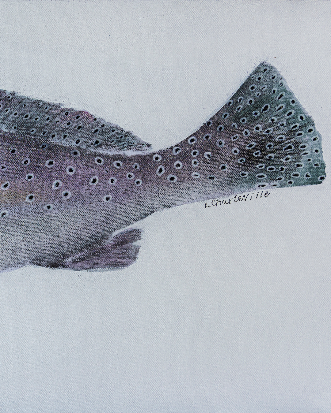 Speckled Trout