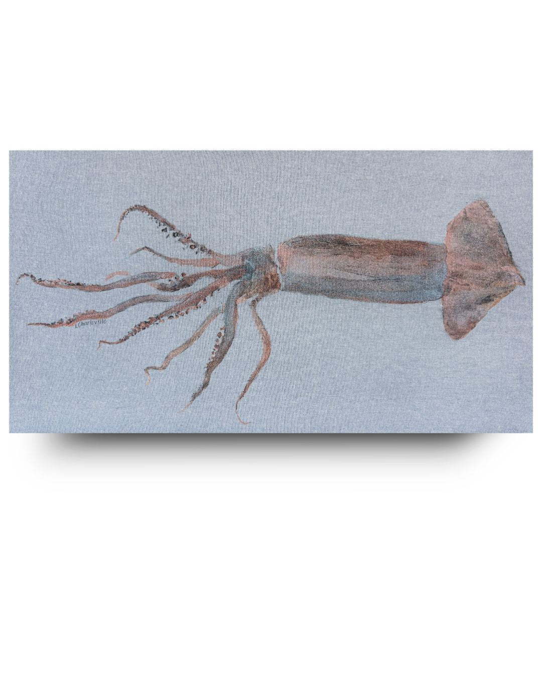 Squid