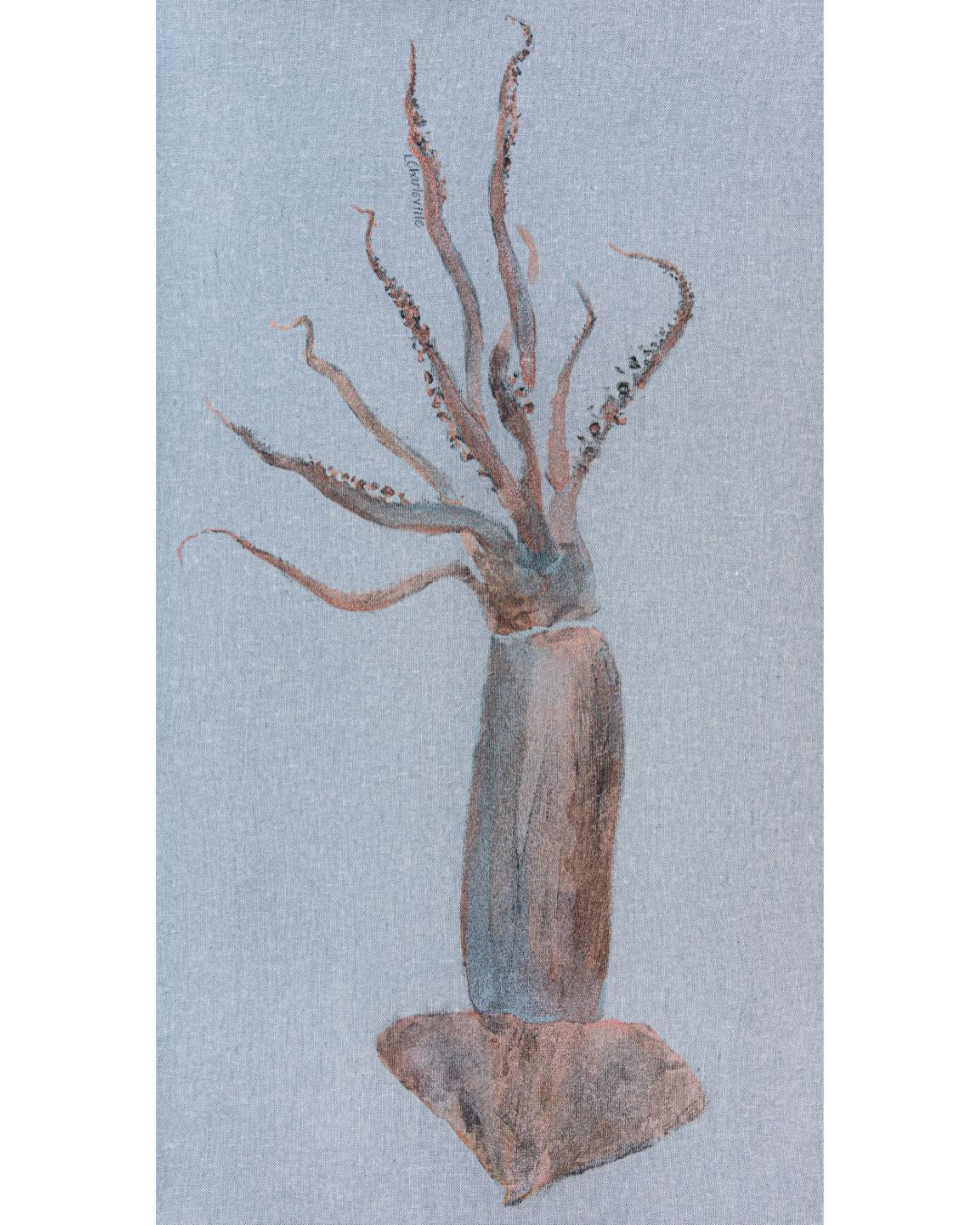 Squid