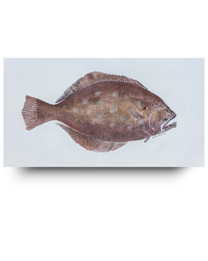 Flounder