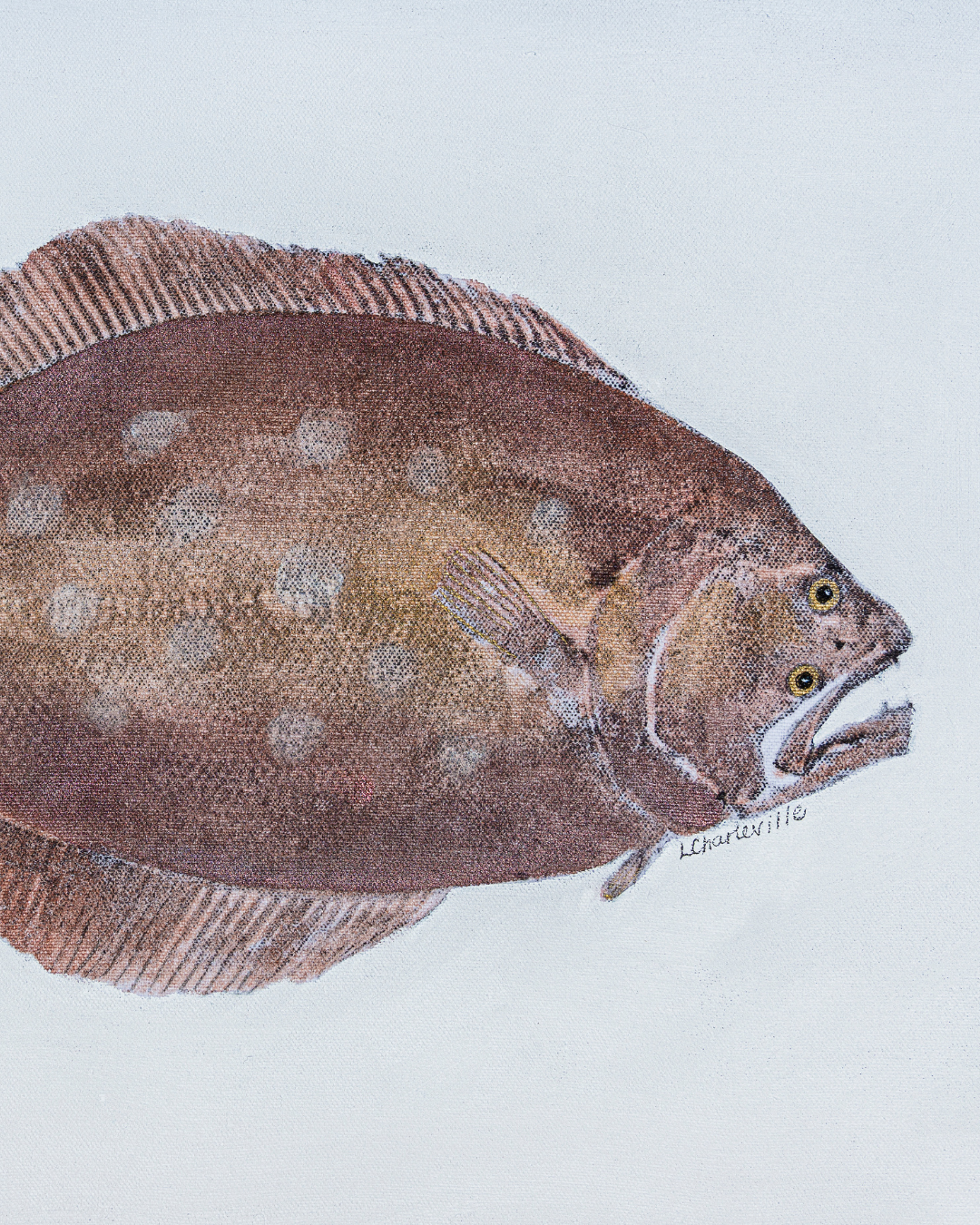 Flounder