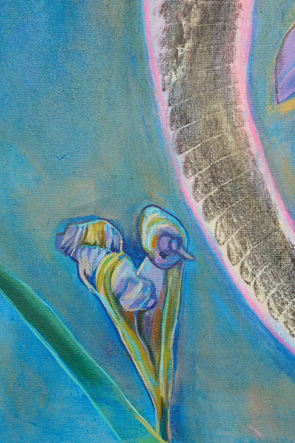 Iris Ascending