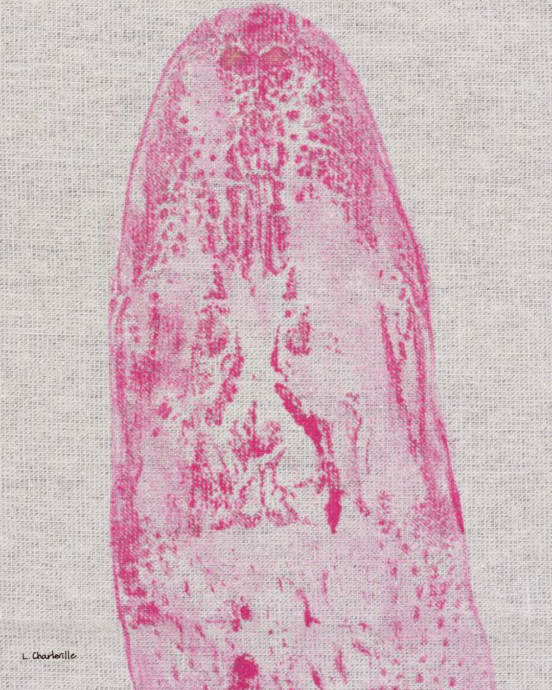 Pinkie